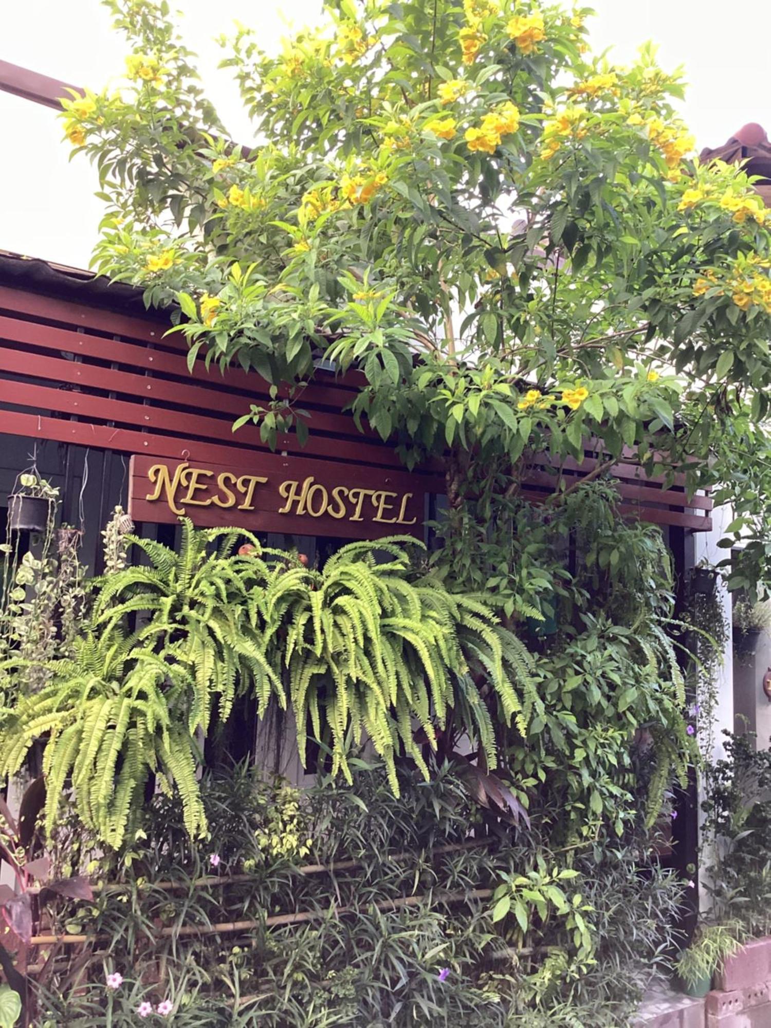 Nest Hostel Lipe Dış mekan fotoğraf