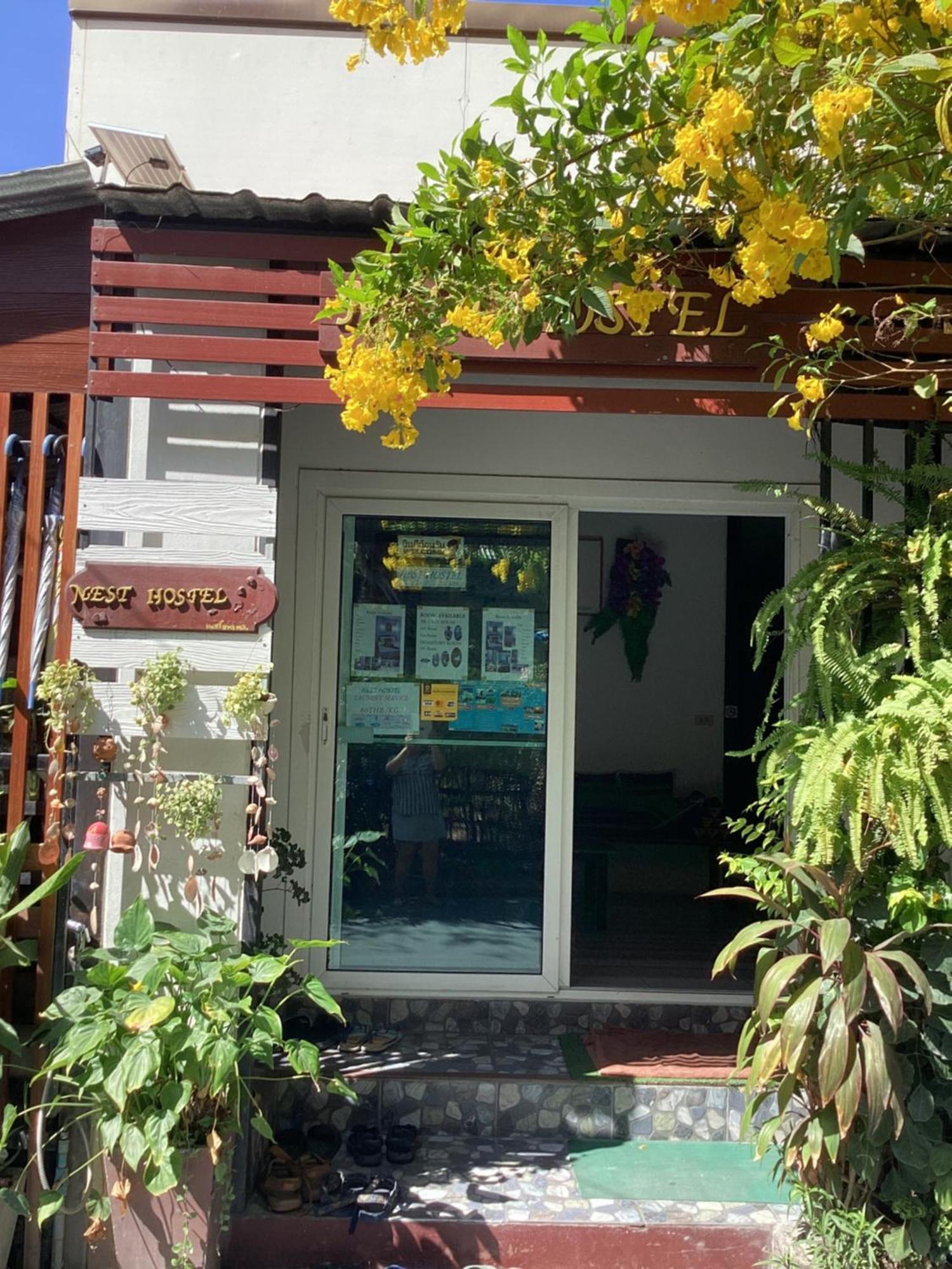 Nest Hostel Lipe Dış mekan fotoğraf