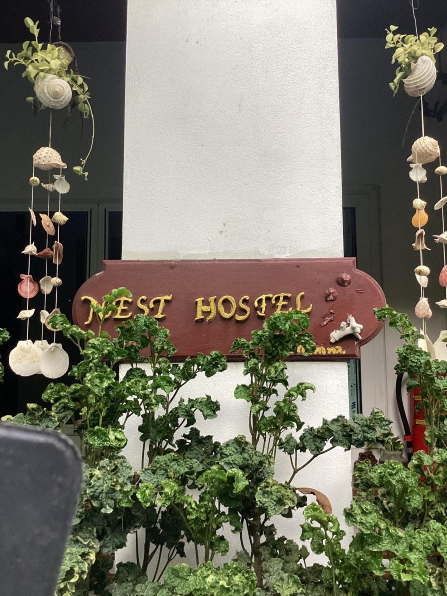 Nest Hostel Lipe Dış mekan fotoğraf