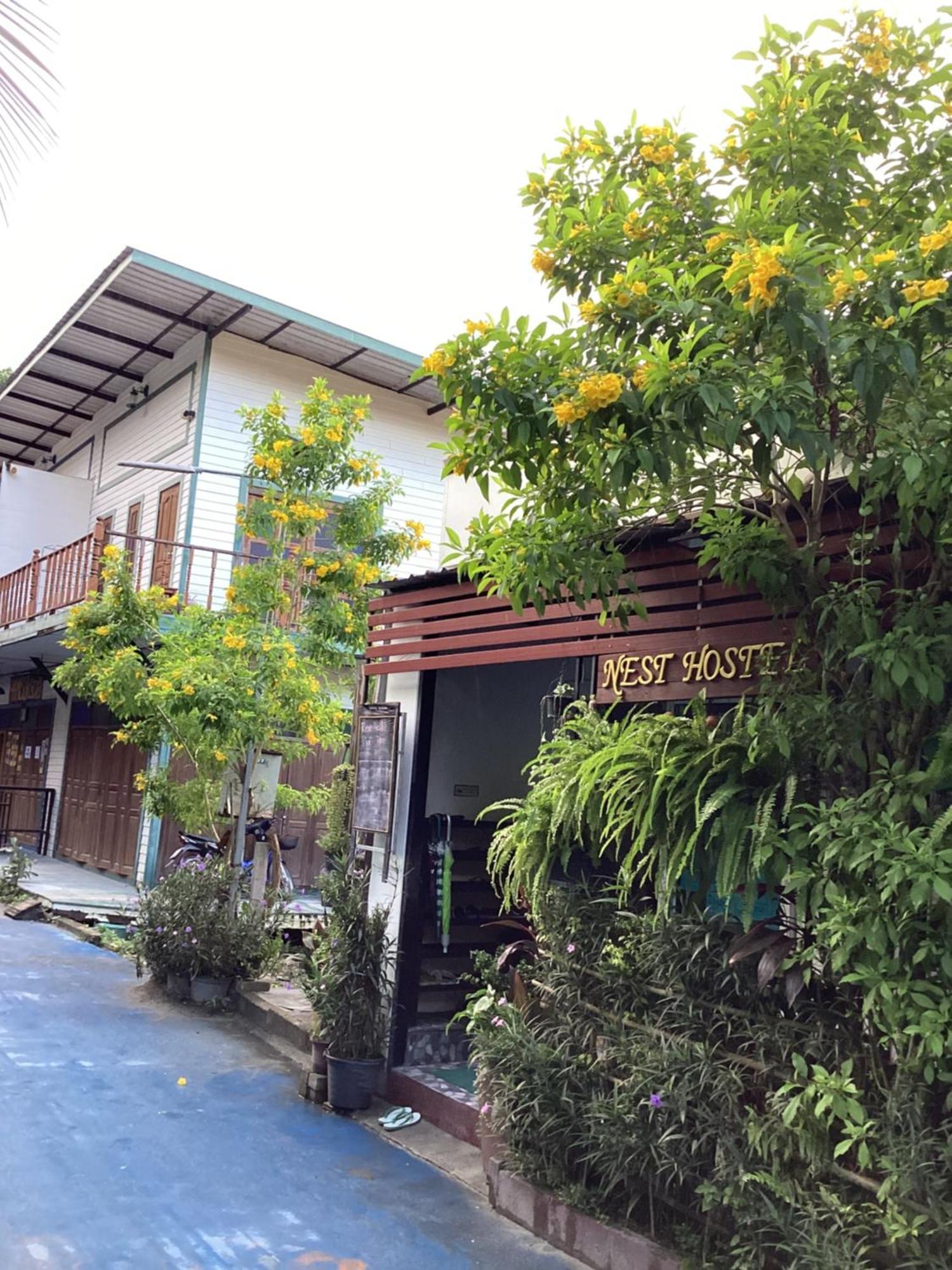 Nest Hostel Lipe Dış mekan fotoğraf