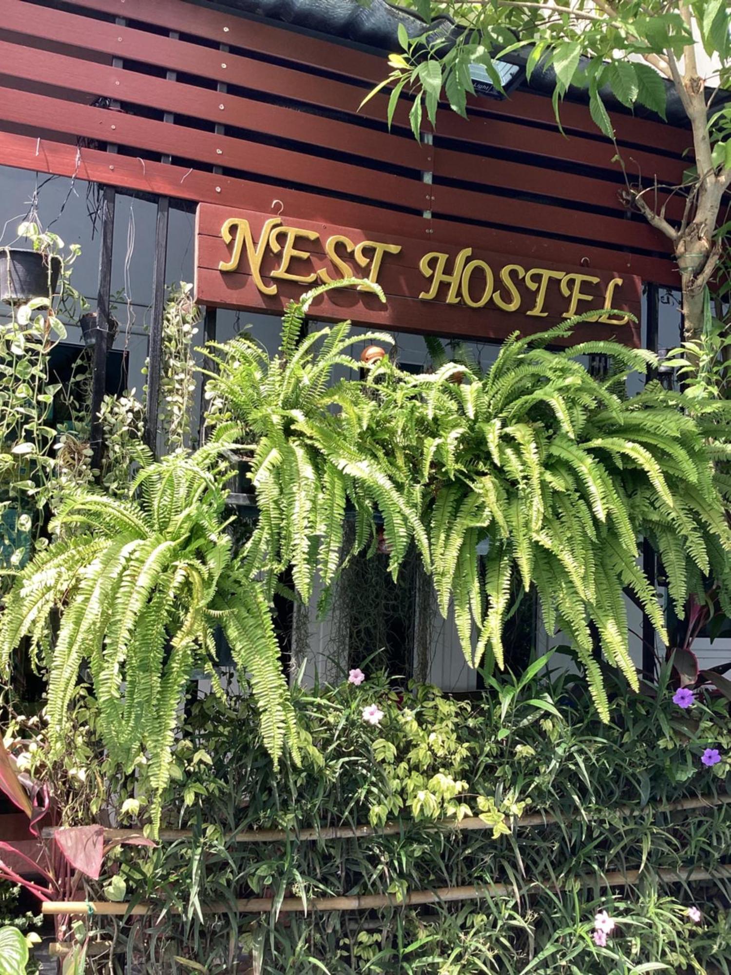 Nest Hostel Lipe Dış mekan fotoğraf