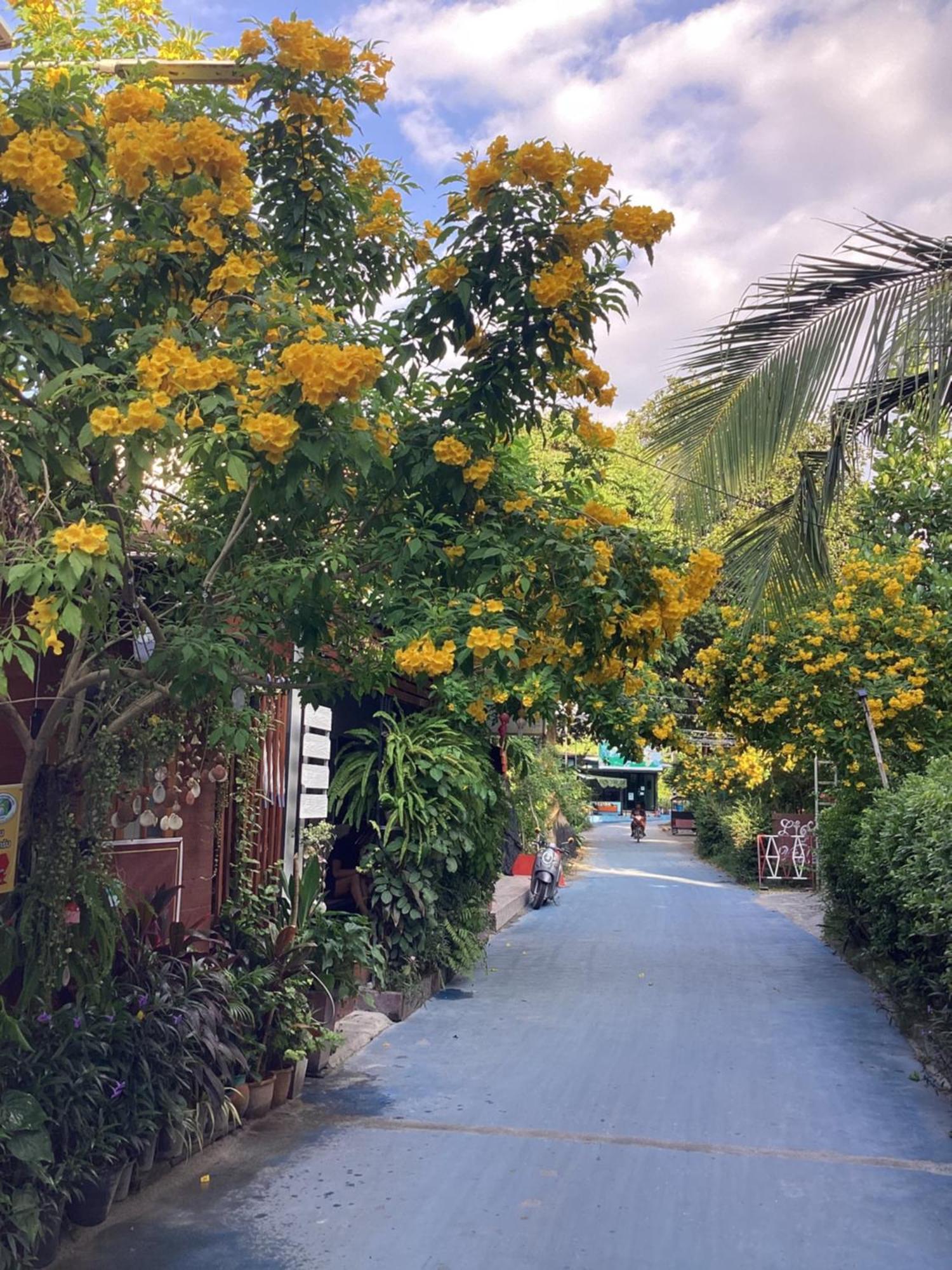 Nest Hostel Lipe Dış mekan fotoğraf